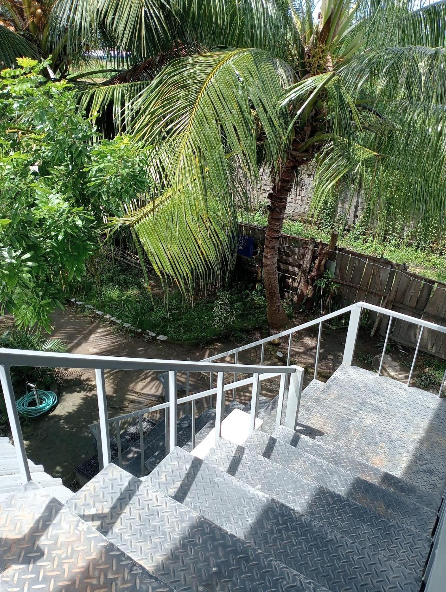 The Daun Puntik Homestay Pemenang Exterior foto