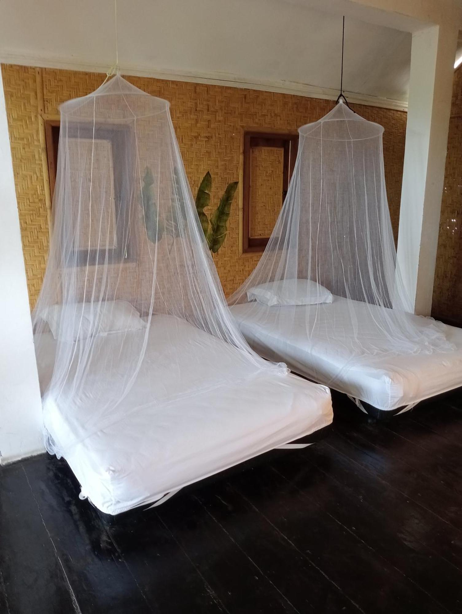 The Daun Puntik Homestay Pemenang Exterior foto