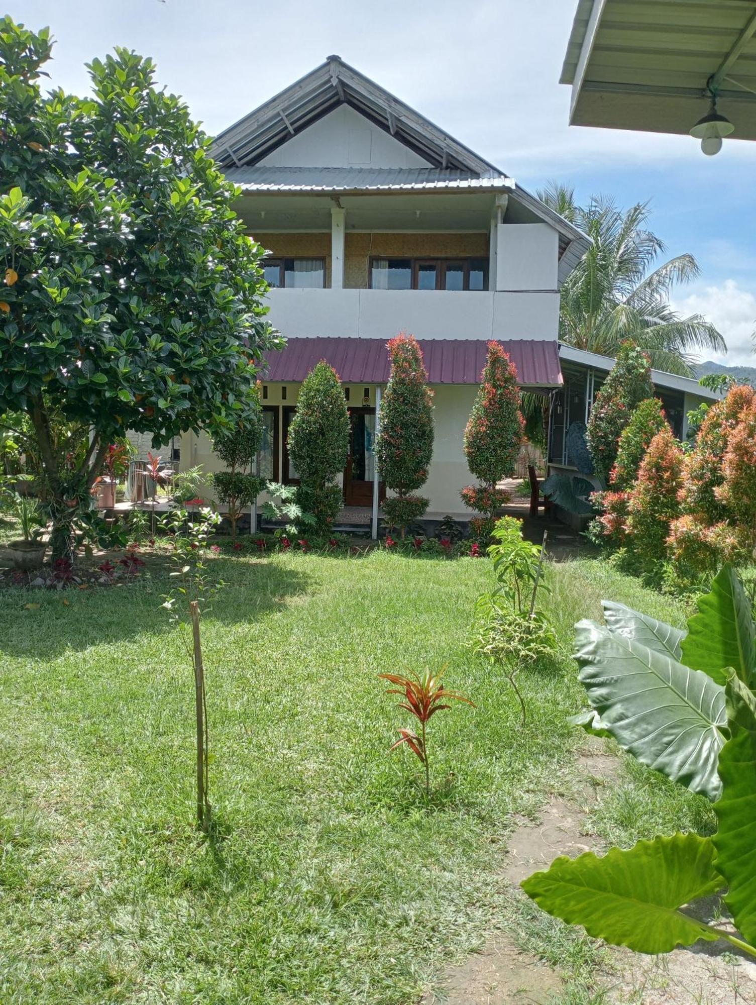 The Daun Puntik Homestay Pemenang Exterior foto