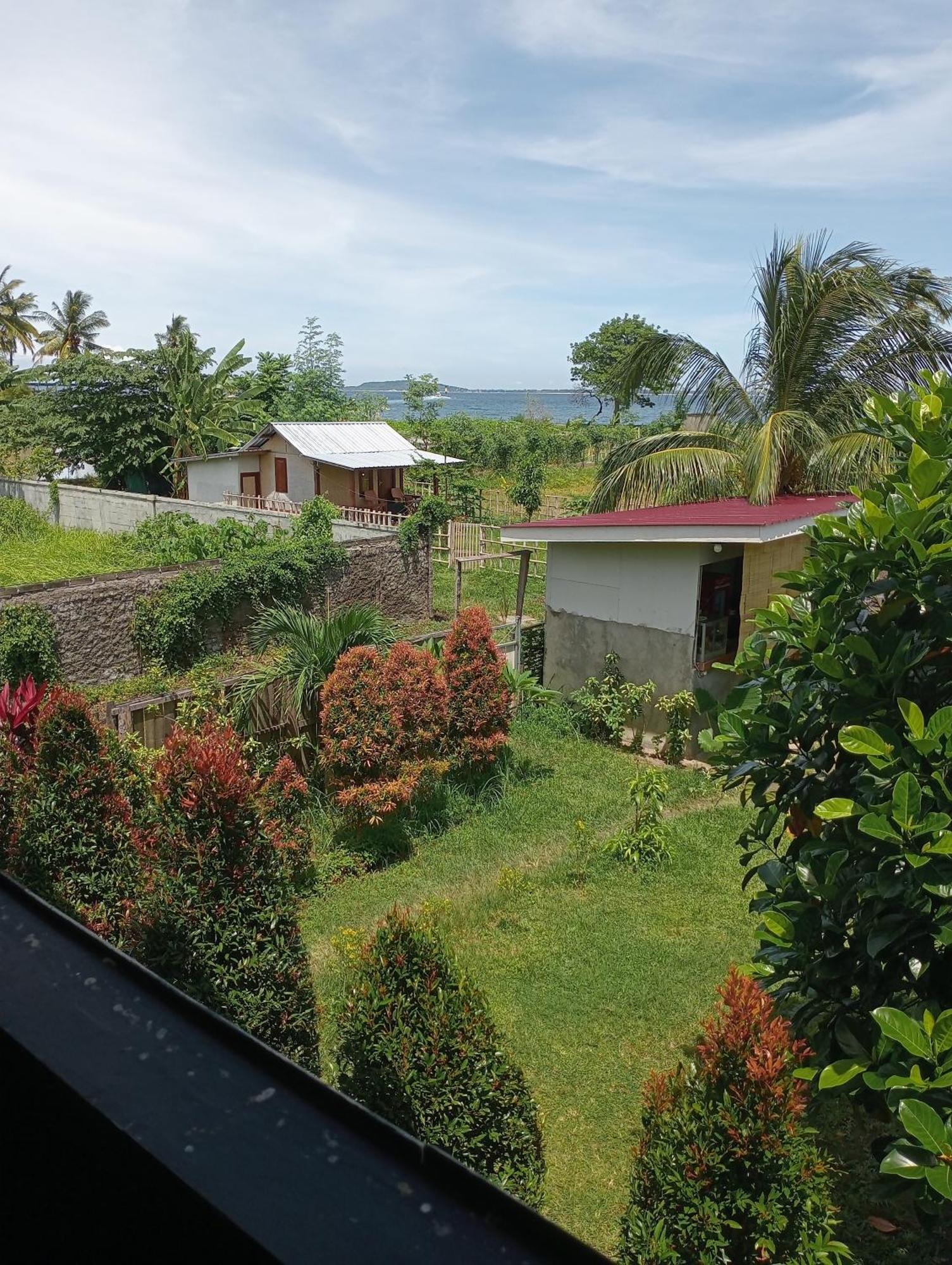 The Daun Puntik Homestay Pemenang Exterior foto